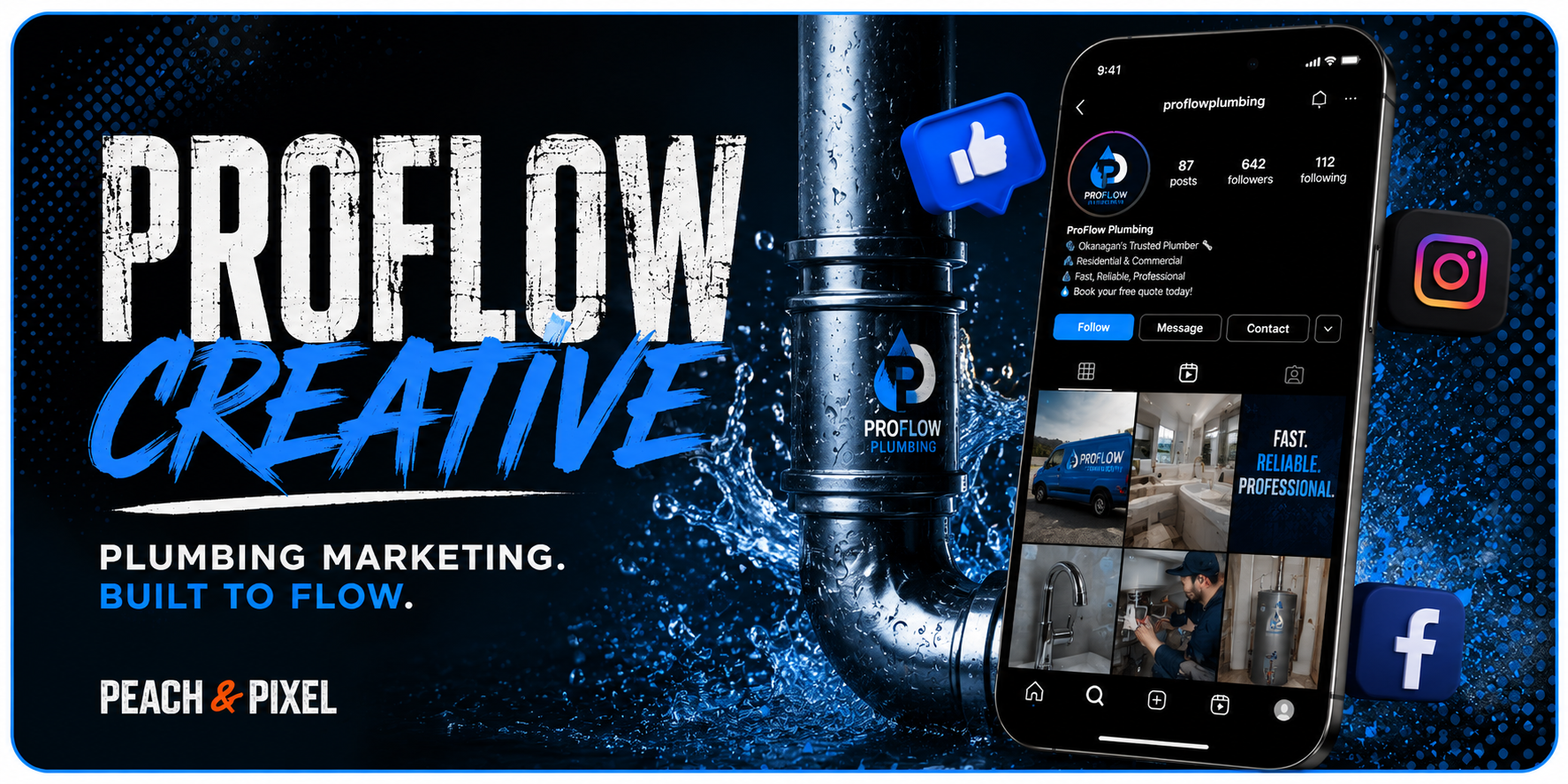 ProFlow Facebook ad creative